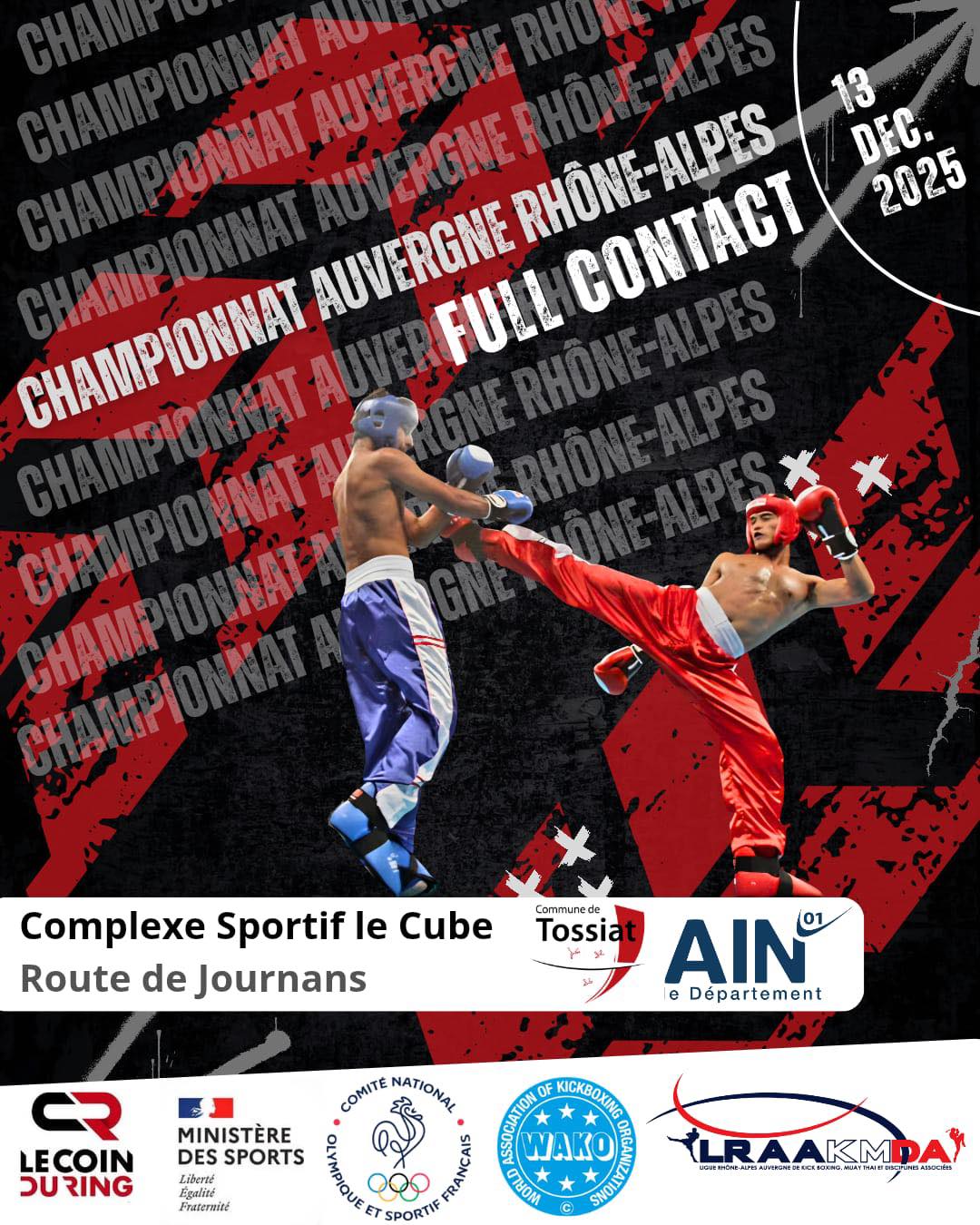 Compétition Pancrace MMA